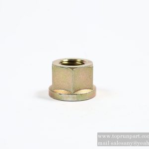 60024267 Nut M30 10Grade Hex Flange