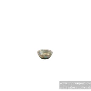 60024736 Limiting Spring PW21TGA-50-01039