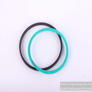 60025729 T Seal Ring 100×84.5×6.3 Fluororubber