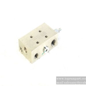 60030229 Counterbalance Valve P313