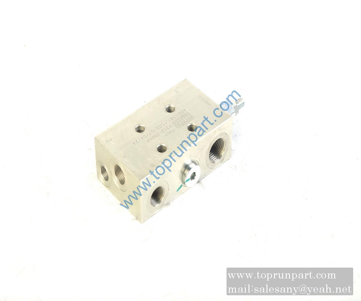 60030229 Counterbalance Valve P313