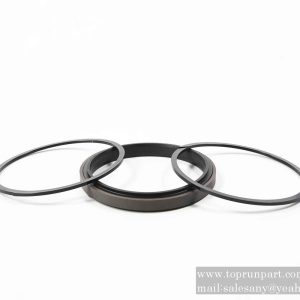 60033085 SPGW Seal Ring 160×137×15.5