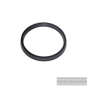 60035171 DKBI Dust Seal 125×141×9×12