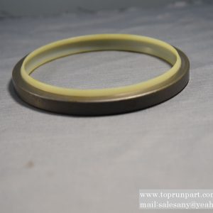 60035172 DKBI Dust Seal 140×160×10×14