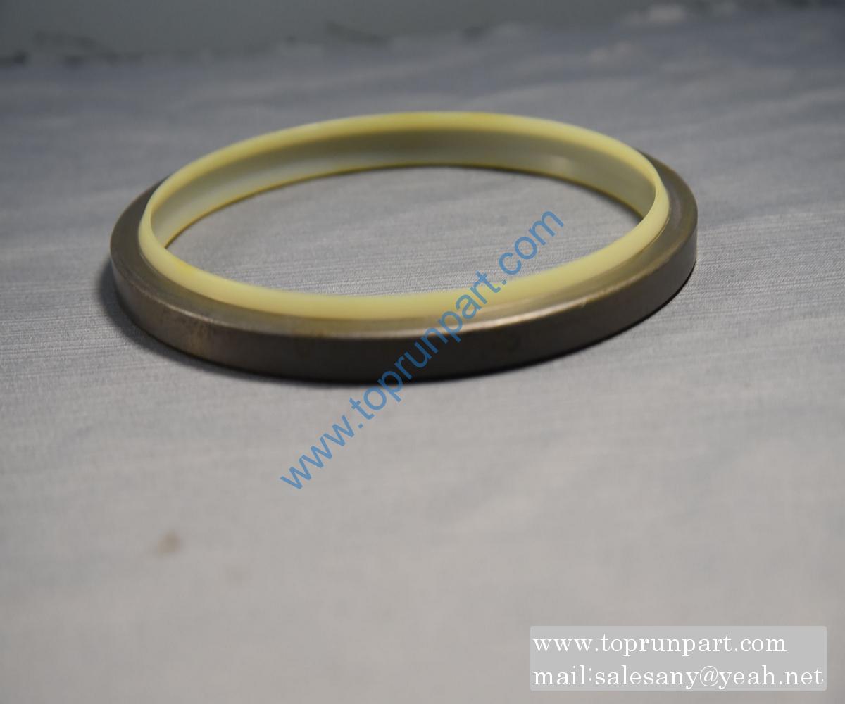 60035172 DKBI Dust Seal 140×160×10×14