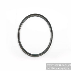 60035273 TRE Oil Seal 250×280×15