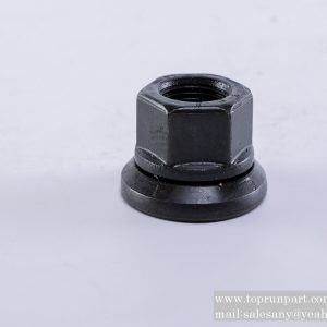 60036724 Hub Nut M22×1.5DIN74361 N22F10