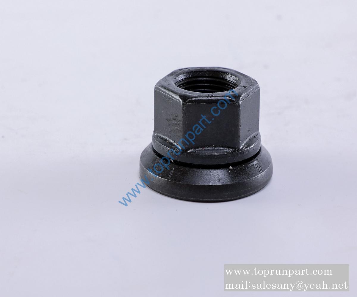 60036724 Hub Nut M22×1.5DIN74361 N22F10