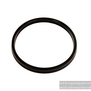 60037416 IUH Seal Ring 160×175×9