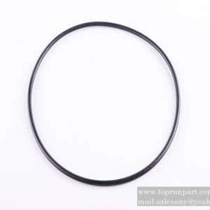 60041282 O-Ring 150×4