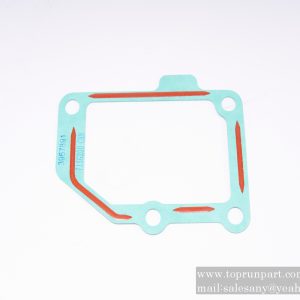 60057040 Sealing Gasket C3967891