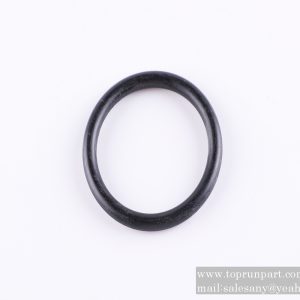 60057056 O Seal Ring C3883284