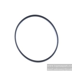 60061453 Seal Ring 120.24×3.53