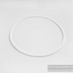 60063194 Retaining Ring QJ2-45-23D