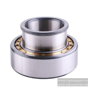 60064297 Rolling Bearing NUP 2220MGB283