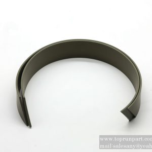 60066349 RGR Guide Ring 125×120×25 PTFE