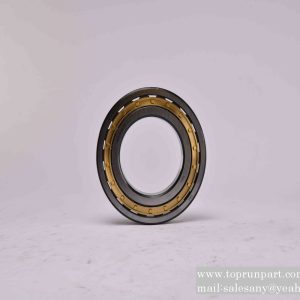 60068197 Bearing NF216MCC5