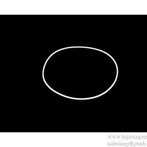 10514326 Retaining Ring BCW56.3.11.1-2  SANY PARTS