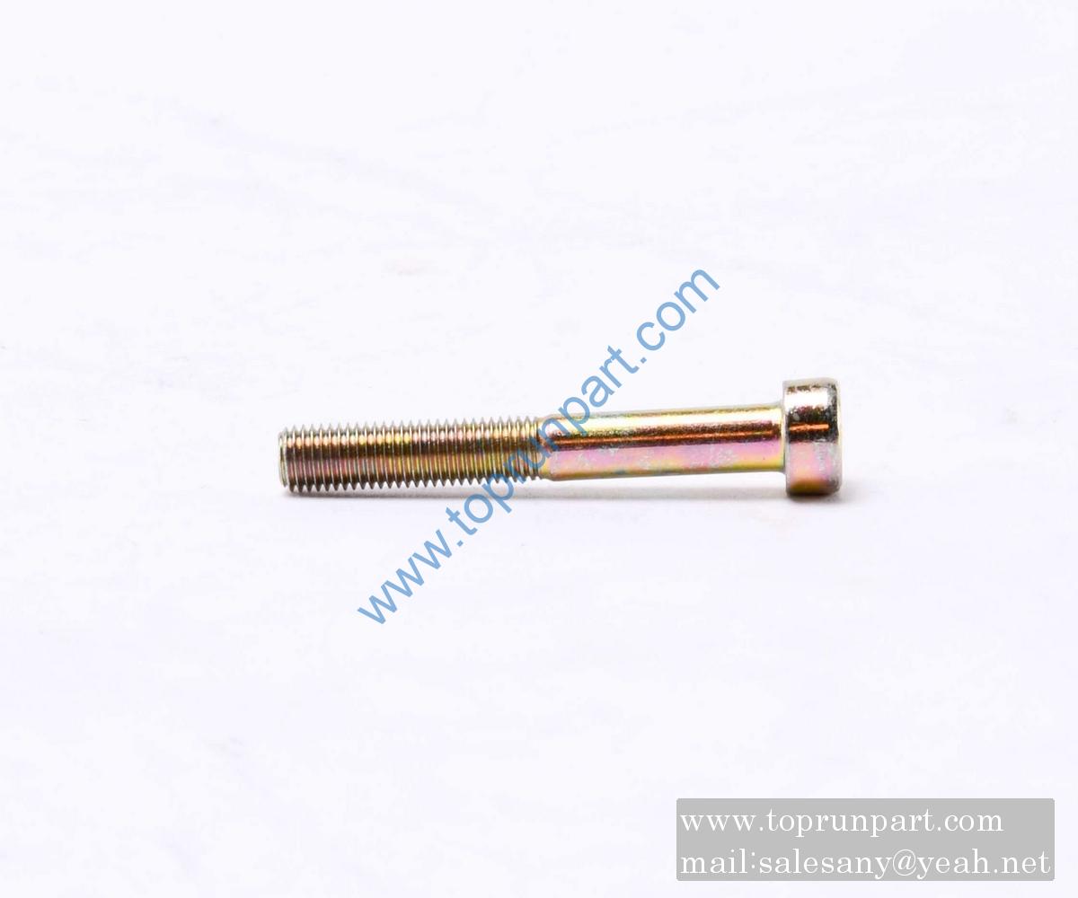 A210204000122 Screw M5×45GB70.1 SANYI PARTS