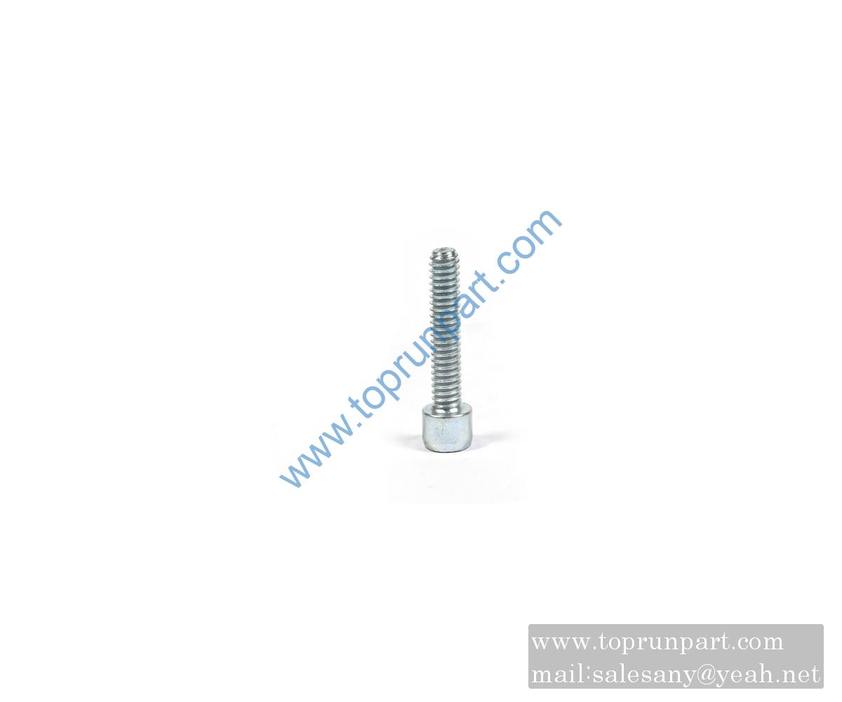 A210204000132 Screw M6×25GB70.1 SANYI PARTS