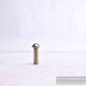 A210506000039 Rivet 12×32GB867 SANY parts