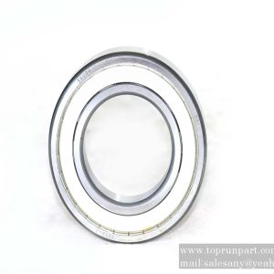 A210601006273 Rolling Bearing 6219-ZGB276 SANY parts