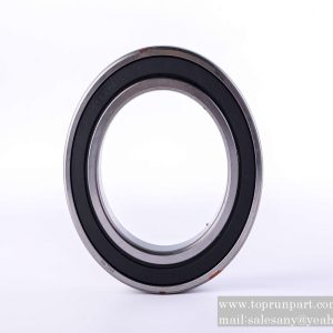 A210601006276 Rolling Bearing 6022-RZGB276 SANY parts