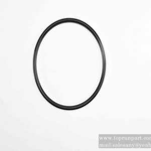 A210609000343 O-Ring 190×10(GB3452.1) SANY parts