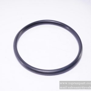 A210609000344 O-Ring 170×10(GB3452.1) SANY parts