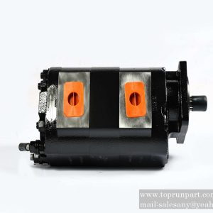 A220301000316 Double Gear Pump 1117042254 SANY parts