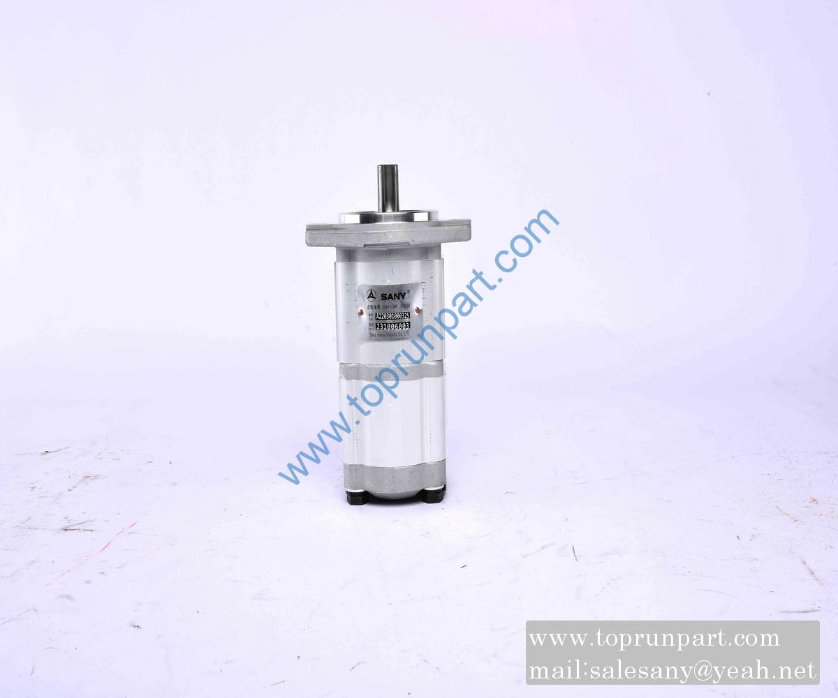A220301000325 Double Gear Pump CBK1012G6G-B2FR SANY parts