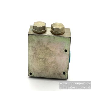 A220401000190 Check Valve Group DFZ2-L20 SANY parts