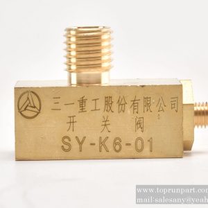 A220401000228 Switch SY-K6-01 SANY parts