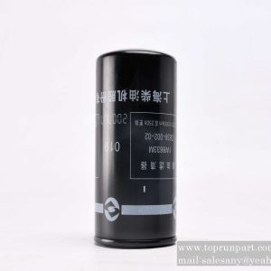A222100000233 Fuel Filter Element 1W8633 SANY parts