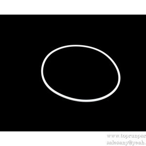 11098163 Retaining Ring DQ240-7 SANY PARTS