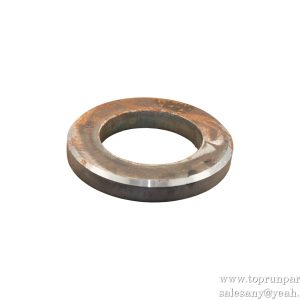 10751139 Convex Plate RSC45.10C.1-52 SANY PARTS