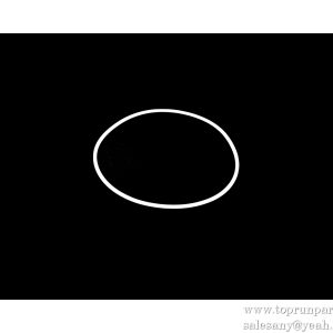 10514346 Retaining Ring BCW56.3.11.1-5  SANY PARTS