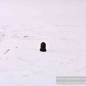 A290000001564 Grease Nipple Capφ6×10  SANY PARTS