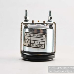 A250209000001 (0~1)-DC24-IP20 BS SANY PARTS